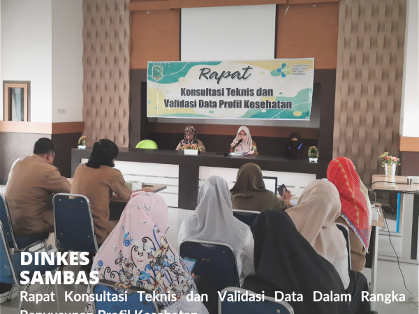 Rapat Konsultasi Teknis dan Validasi Data Penyusunan Profil Kesehatan